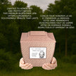 Eterna Urn (7'') - Pink