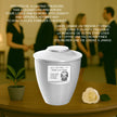 Cara Urn (8.5'') - White