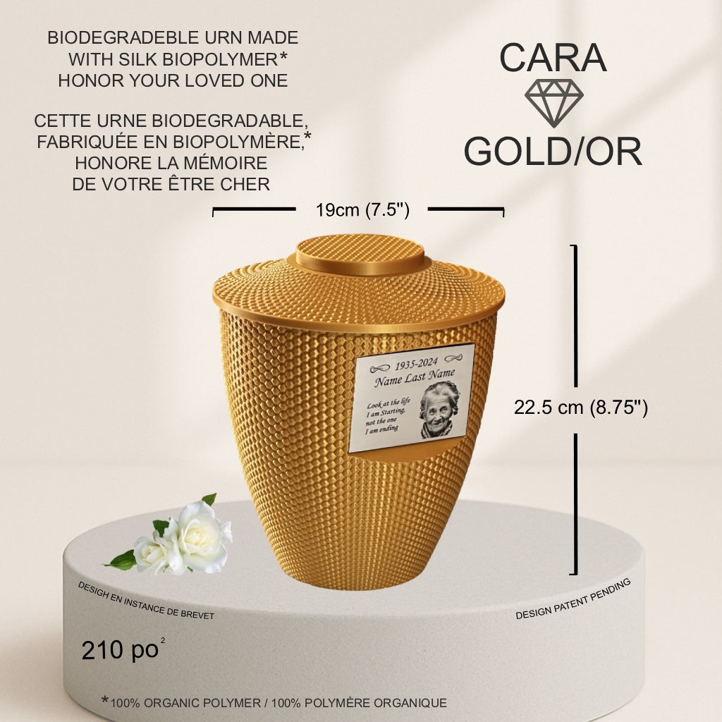 Cara Urn (8.5'') - Gold