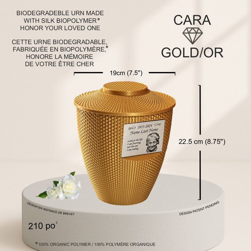 Cara Urn (8.5'') - Gold