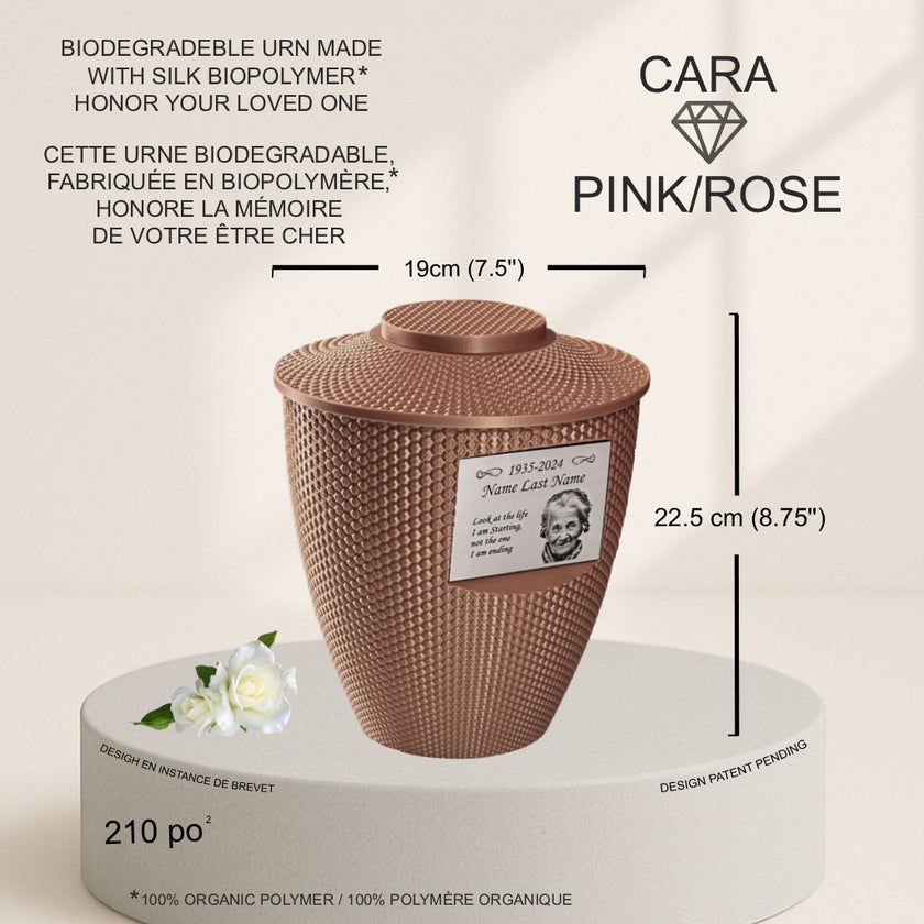 Cara Urn (8.5'') - Pink