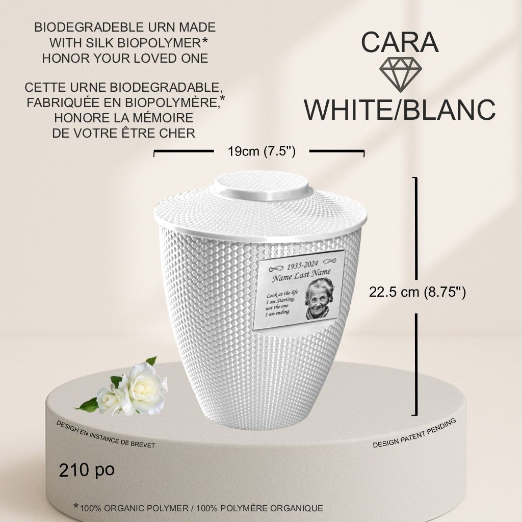 Cara Urn (8.5'') - White