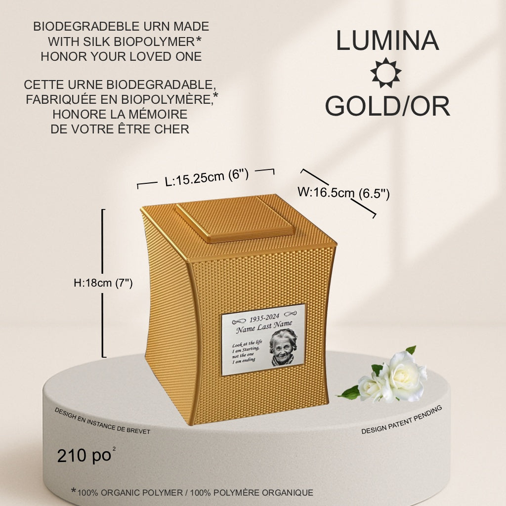 Lumina Urn (7'') - Gold