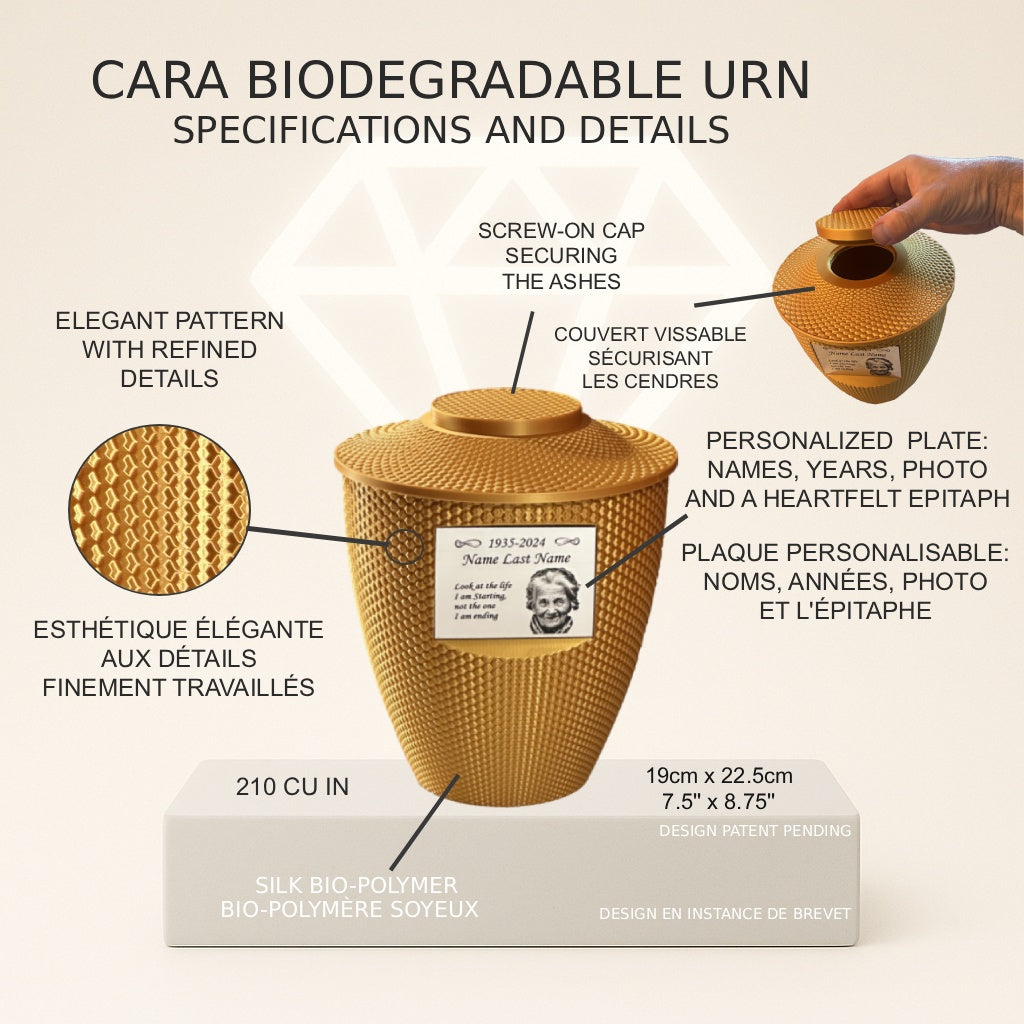 Cara Urn (8.5'') - Gold