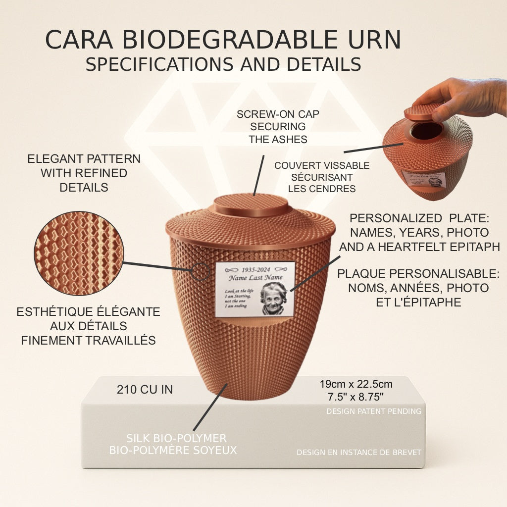 Cara Urn (8.5'') - Pink