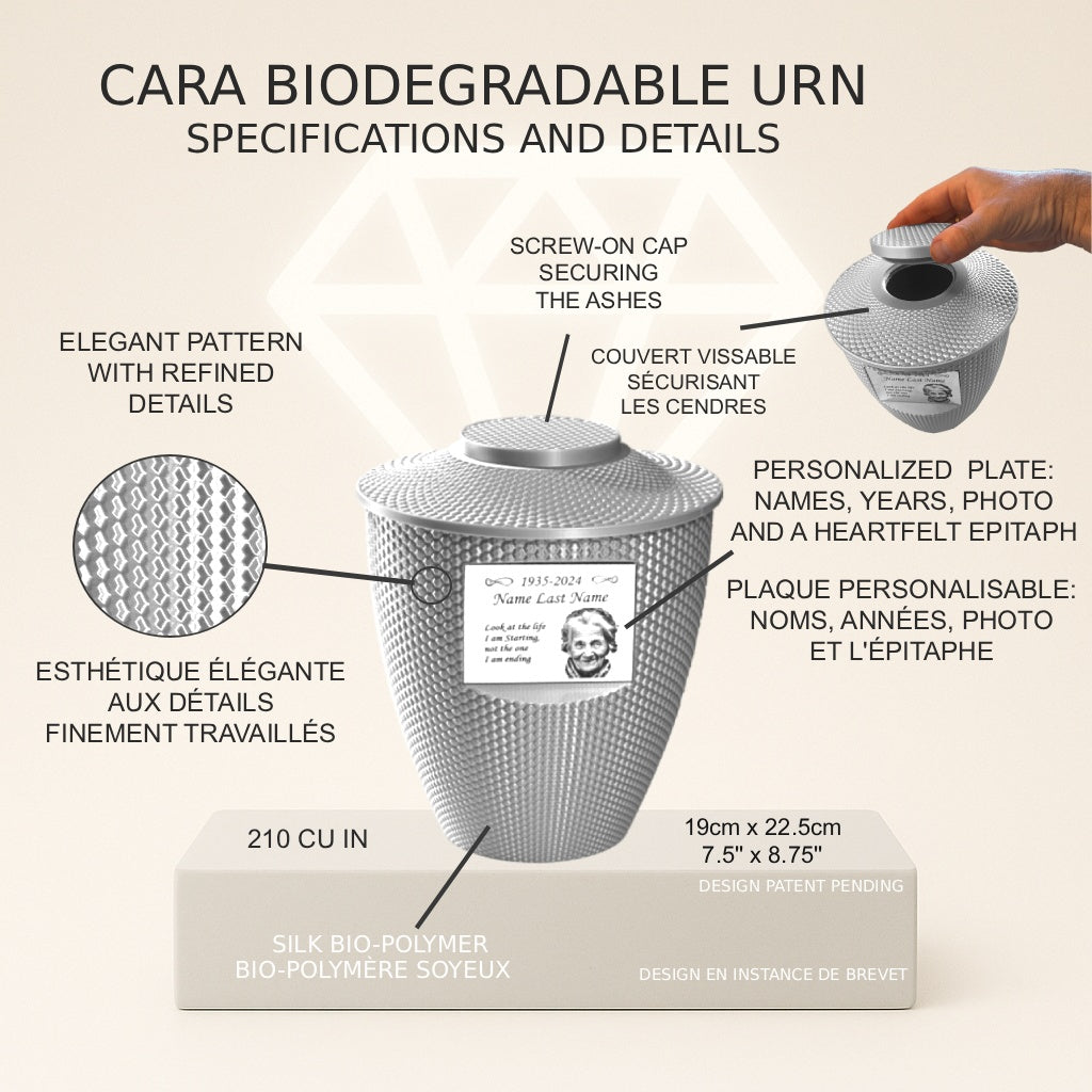 Cara Urn (8.5'') - Silver