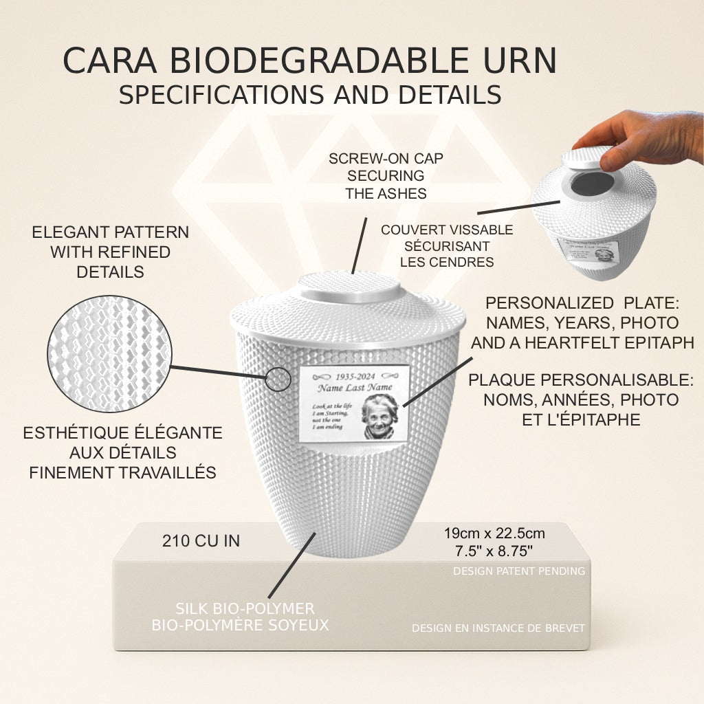 Cara Urn (8.5'') - White