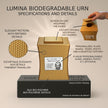 Lumina Urn (7'') - Gold