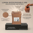 Lumina Urn (7'') - Pink