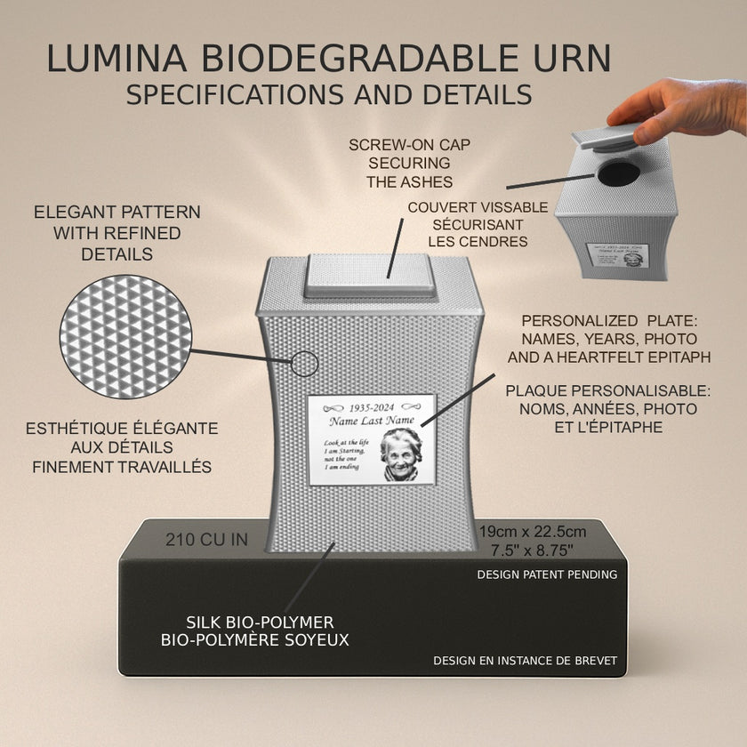 Lumina Urn (7'') - Silver